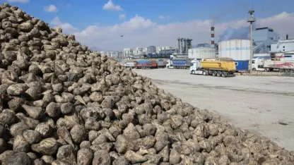 Konya Pancar Ekicileri bu yıl verimden memnun