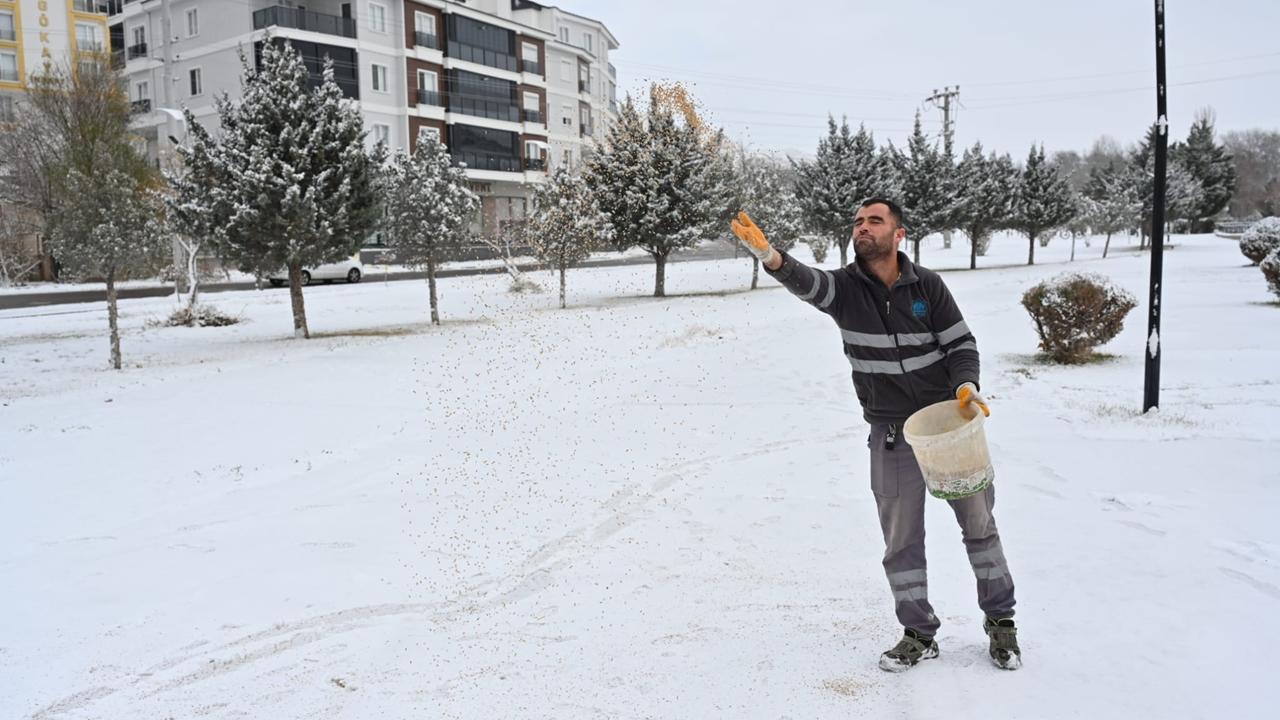 Aksaray'da Soğuk ve Karlı Günlerde Doğadaki Kuşlar Unutulmadı