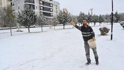 Aksaray'da Soğuk ve Karlı Günlerde Doğadaki Kuşlar Unutulmadı