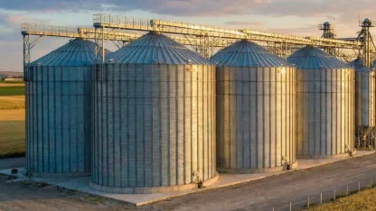 TMO'dan piyasaya müdahale! Şubat'ta 3,9 milyon ton hububat satışta