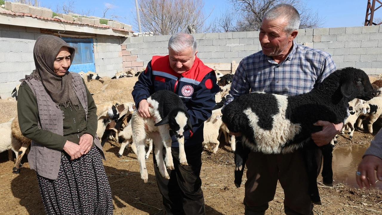 Sultanhanı'nda Köse Ailesi Küçükbaş Çobanlığı ile 4 Çocuklarını Okuttular