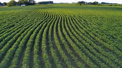 Tarım arazilerinin etkin kullanımı için hibe desteği