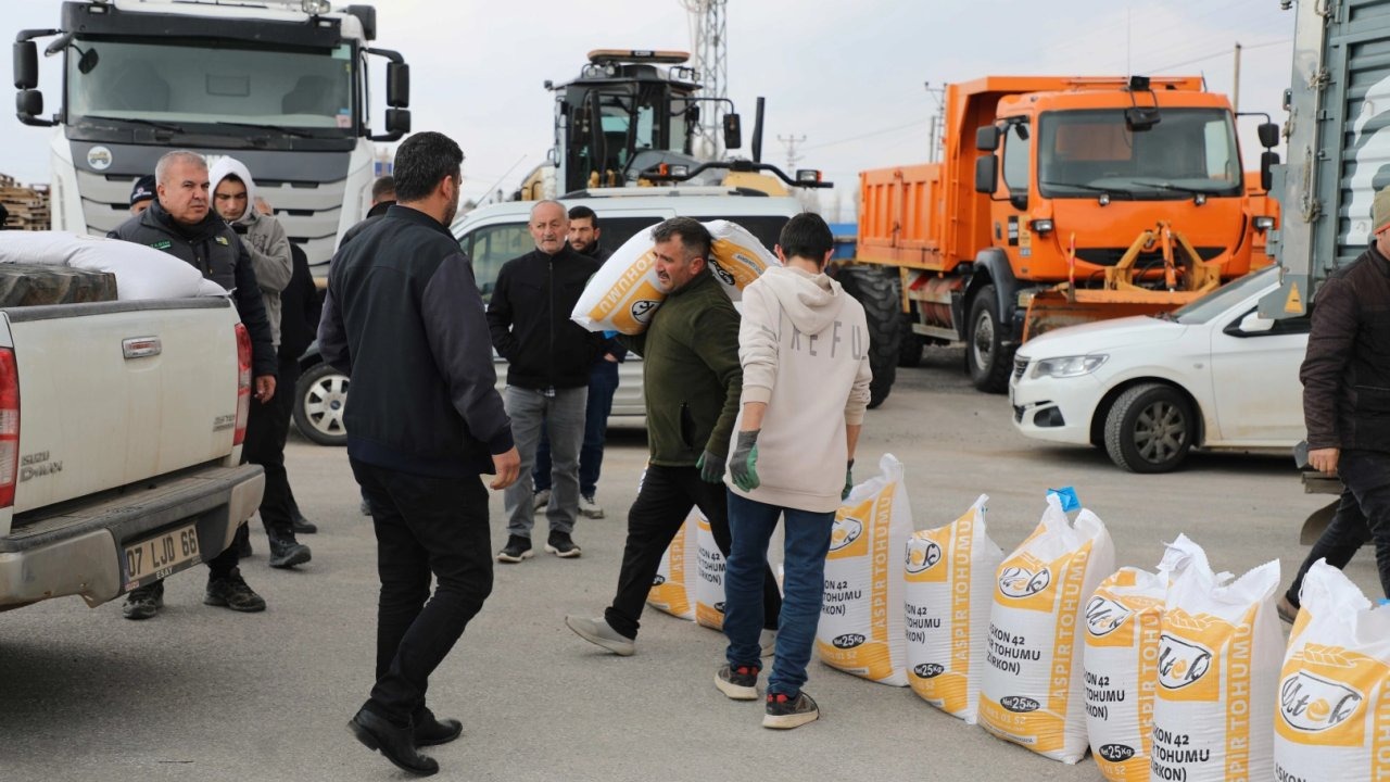 Konya'da yüzde 50 hibeli aspir tohumları dağıtılıyor