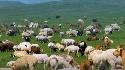 Kırsalda Bereket başvurularında son gün 30 Nisan