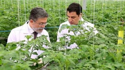 Bakan Yumaklı Aksaray’da Jeotermal Seraları İnceledi: "Sürdürülebilir Üretim Önceliğimiz"