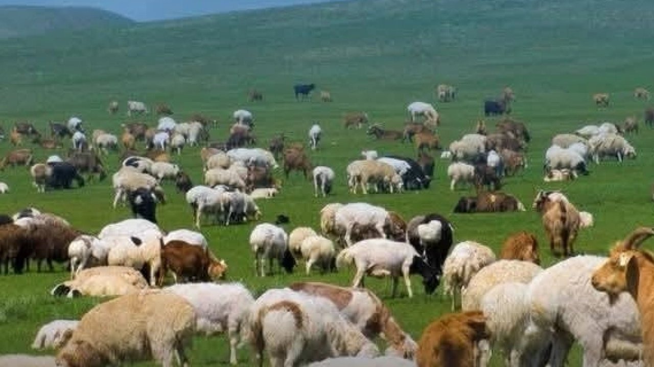 Kırsalda Bereket başvurularında son gün 30 Nisan