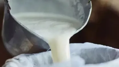 Çiğ süt üretimi 2025’te geriledi! Manda ve keçi sütü sert düştü!